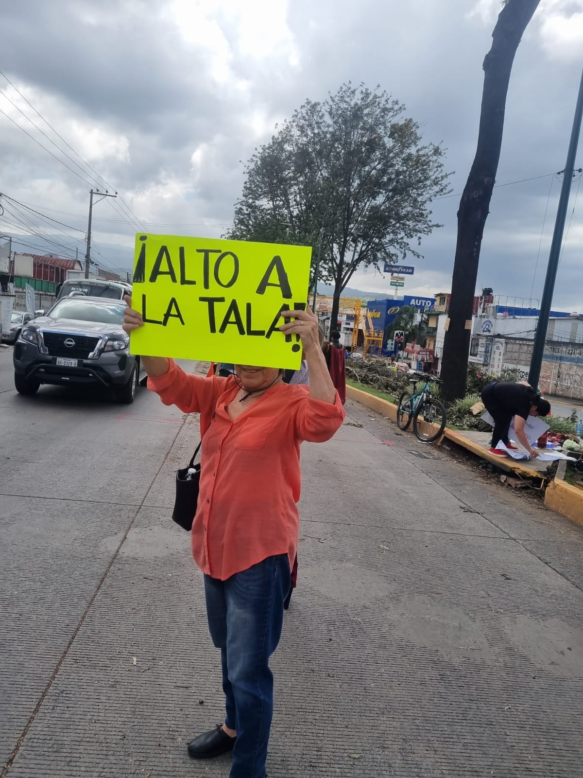 Por la construcción de una versión económica del Paso Superior Vehicular, en Xalapa, Veracruz, se realiza un ecocidio: La tala de 64 árboles