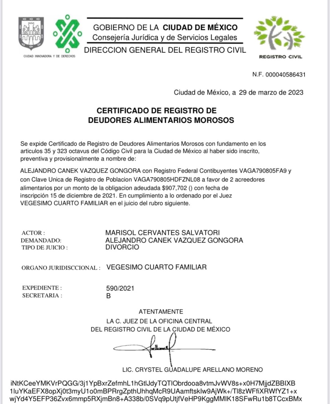 Certificado de Registro de Deudores Alimentarios Morosos