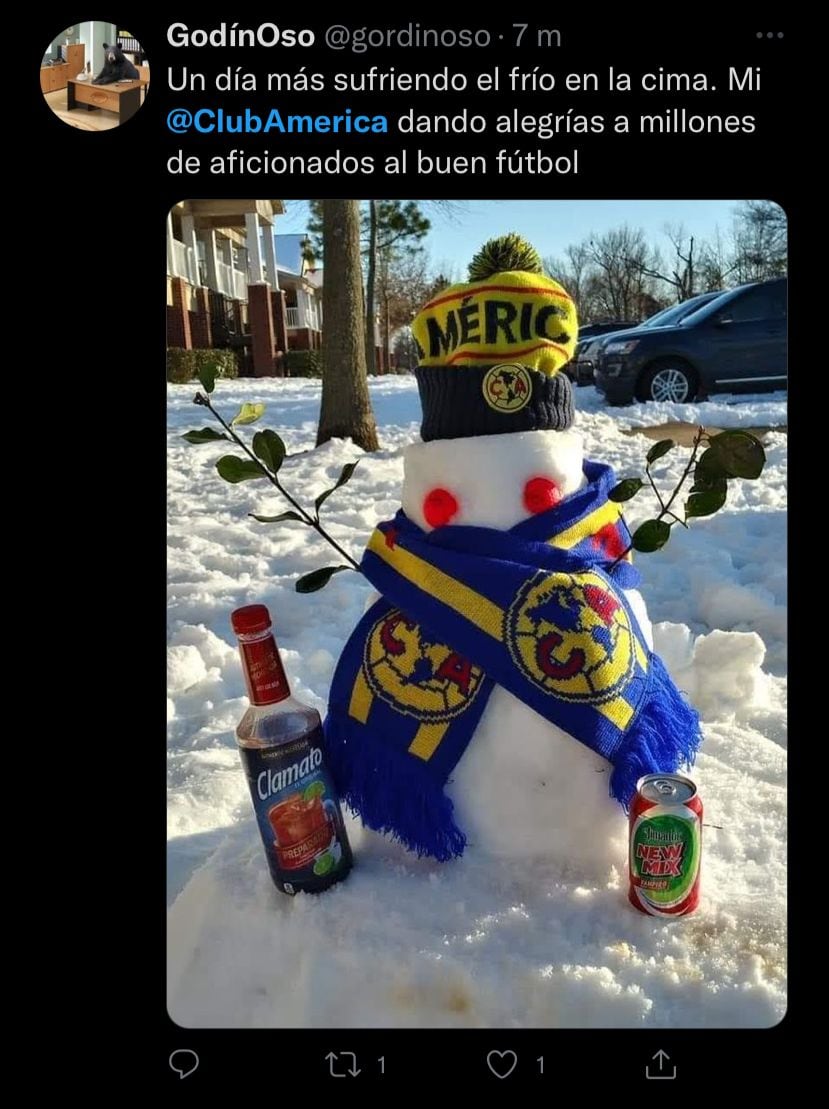 Memes Club América