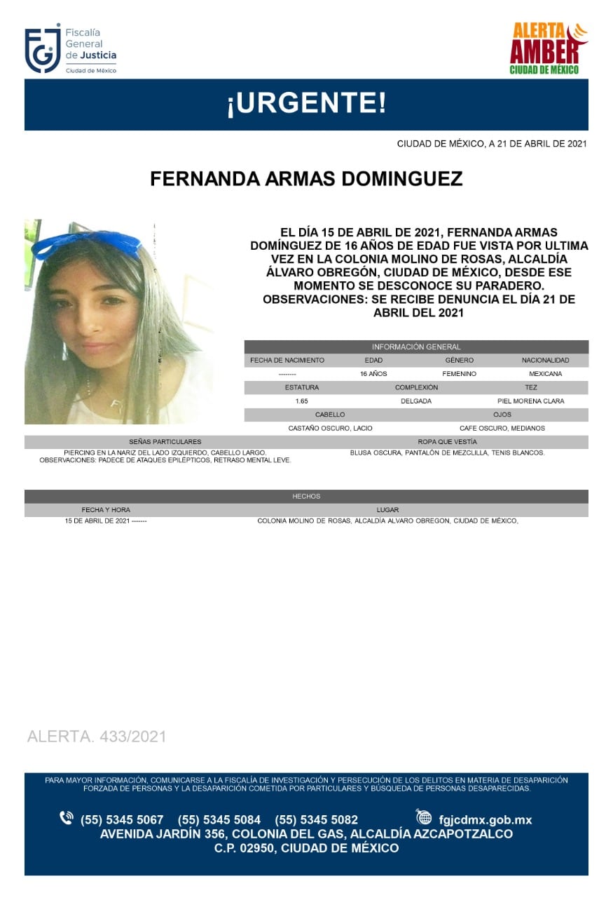 Ficha de búsqueda de Fernanda