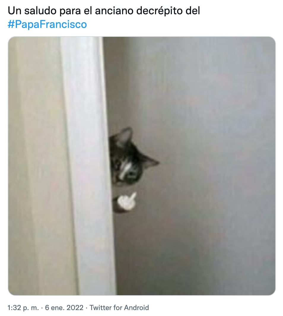 Meme del Papa Francisco y las mascotas