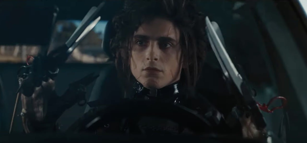 Timothée Chalamet
