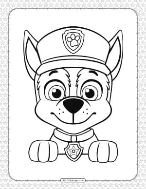 Tatuaje de Paw Patrol temporal