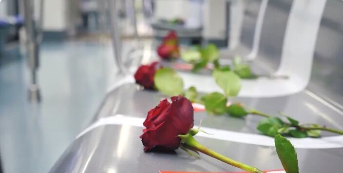 Rosas en asientos
