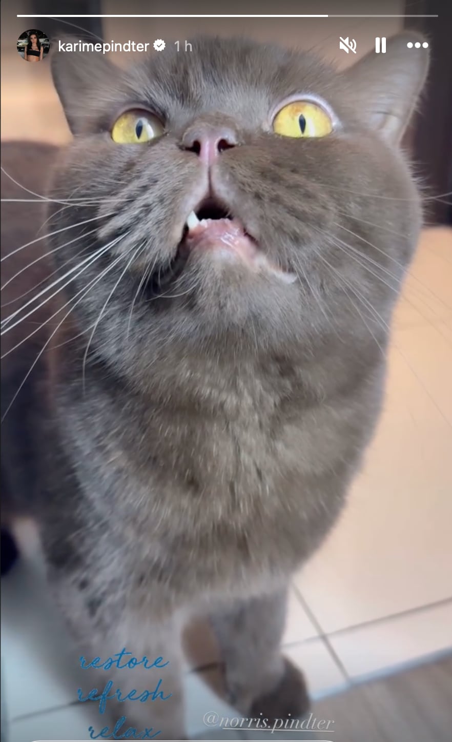 Karime Pindter ignora las indirectas de Gala Montes con su verdadero amor