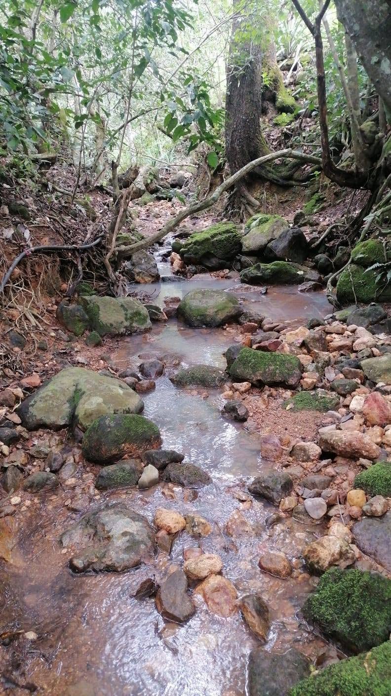 Fiscalía de Nayarit investiga presunto centro de exterminio y fosa en Xalisco