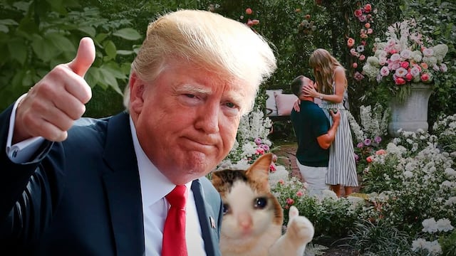 Donald Trump reacciona al compromiso entre Taylor Swift y Travis Kelce