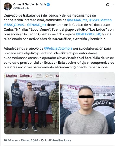 Autoridades mexicanas detienen al “Lobo menor”