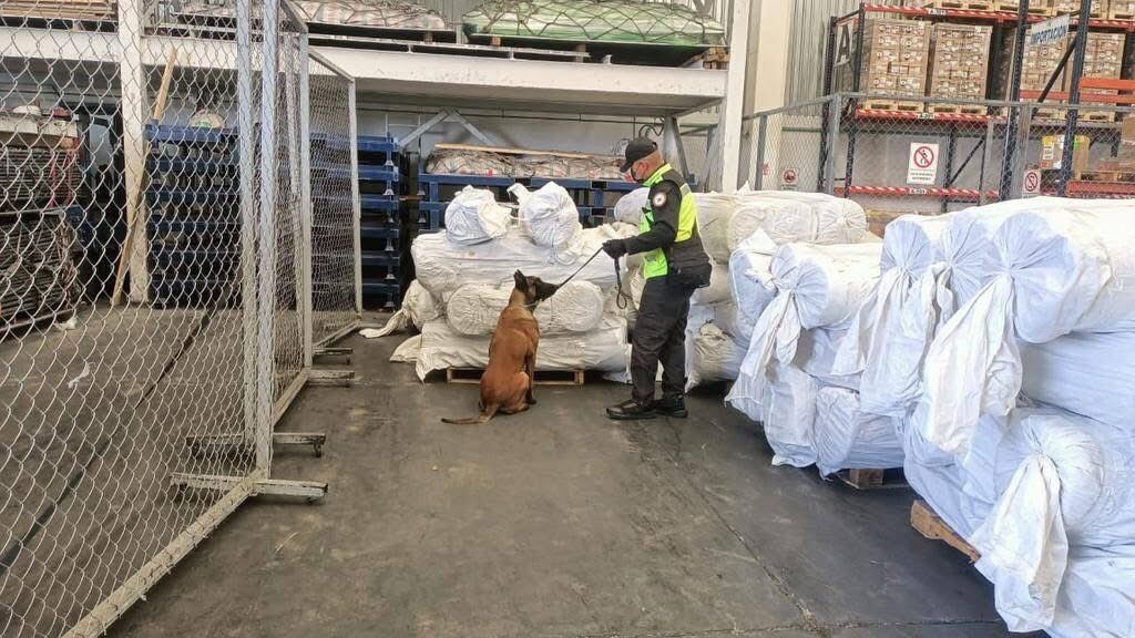 Fentanilo en el AIFA: Guardia Nacional lo encontró y esto se sabe