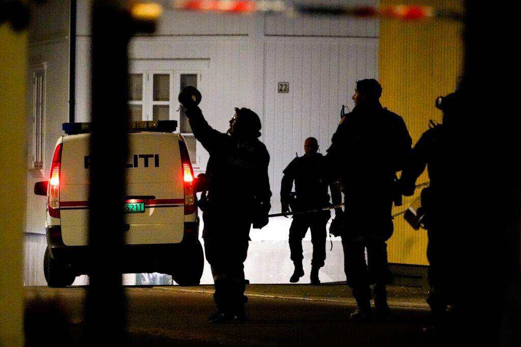 Hombre armado con arco y fleca mata a 5 personas en Noruega