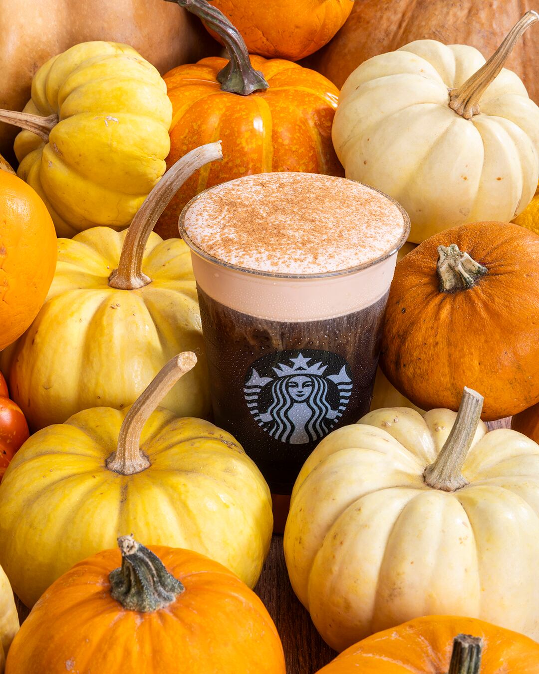 Starbucks Days