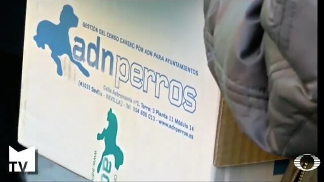 Exámenes de ADN a perros