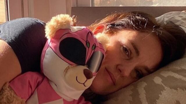 Amy Jo Johnson, Power Ranger Rosa