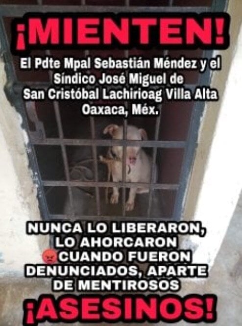 Denuncia