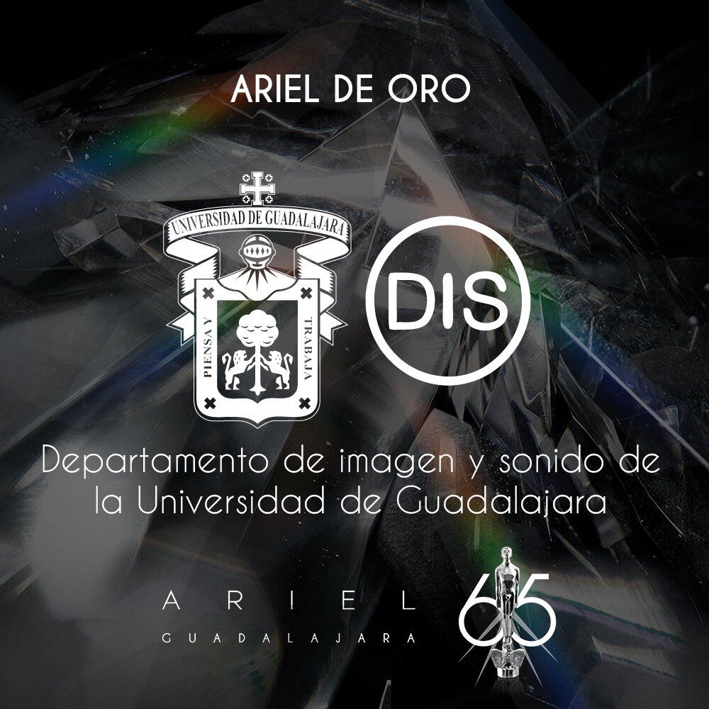 Premio Ariel 2023 premiará a los emblemáticos directores mexicanos Marcela Fernández Violante y Juan Mora Catlett
Marcela Fernández Violante, Juan Mora Catlett será recon