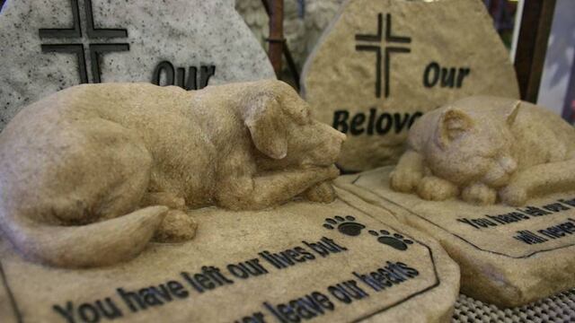 Funerales para perros.