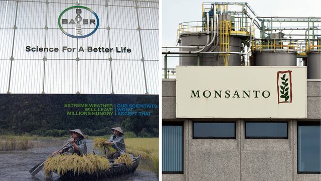 Monsanto/Bayer