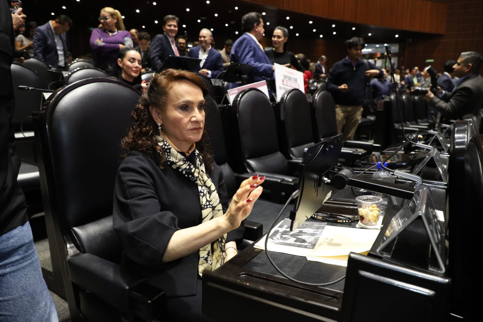 Dolores Padierna, diputada de Morena