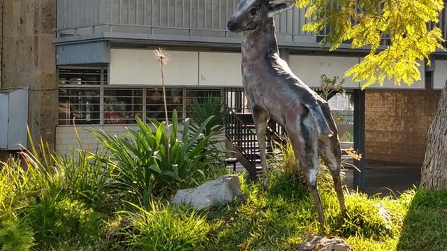 ¿Qué pasó en la Escuela Secundaria Técnica 1 de Guadalajara?