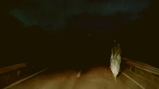 ¿De qué trata la leyenda recordada por el video viral del trailero que viajó con mujer fantasma?