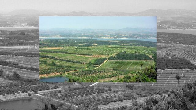 China tiene el segundo territorio más grande del mundo dedicado a la vitivinicultura.