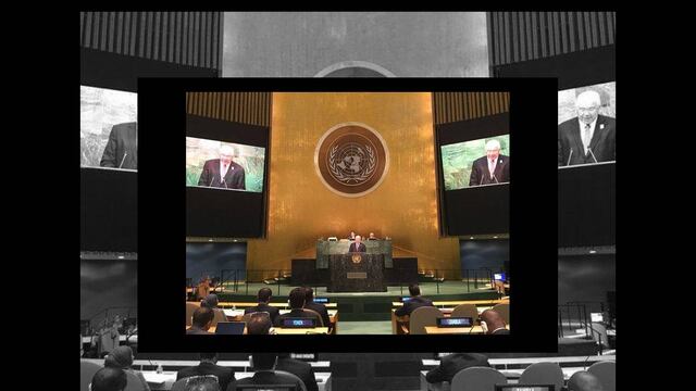 El Consejo de Derechos Humanos, de la ONU tiene la encomienda de promover las garantías individuales, formular recomendaciones sobre el tema y supervisar los informes temáticos sobre los países miembros del organismo internacional.