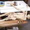 Imprimen en 3D a Otzi, momia del hombre de las nieves (VIDEO)