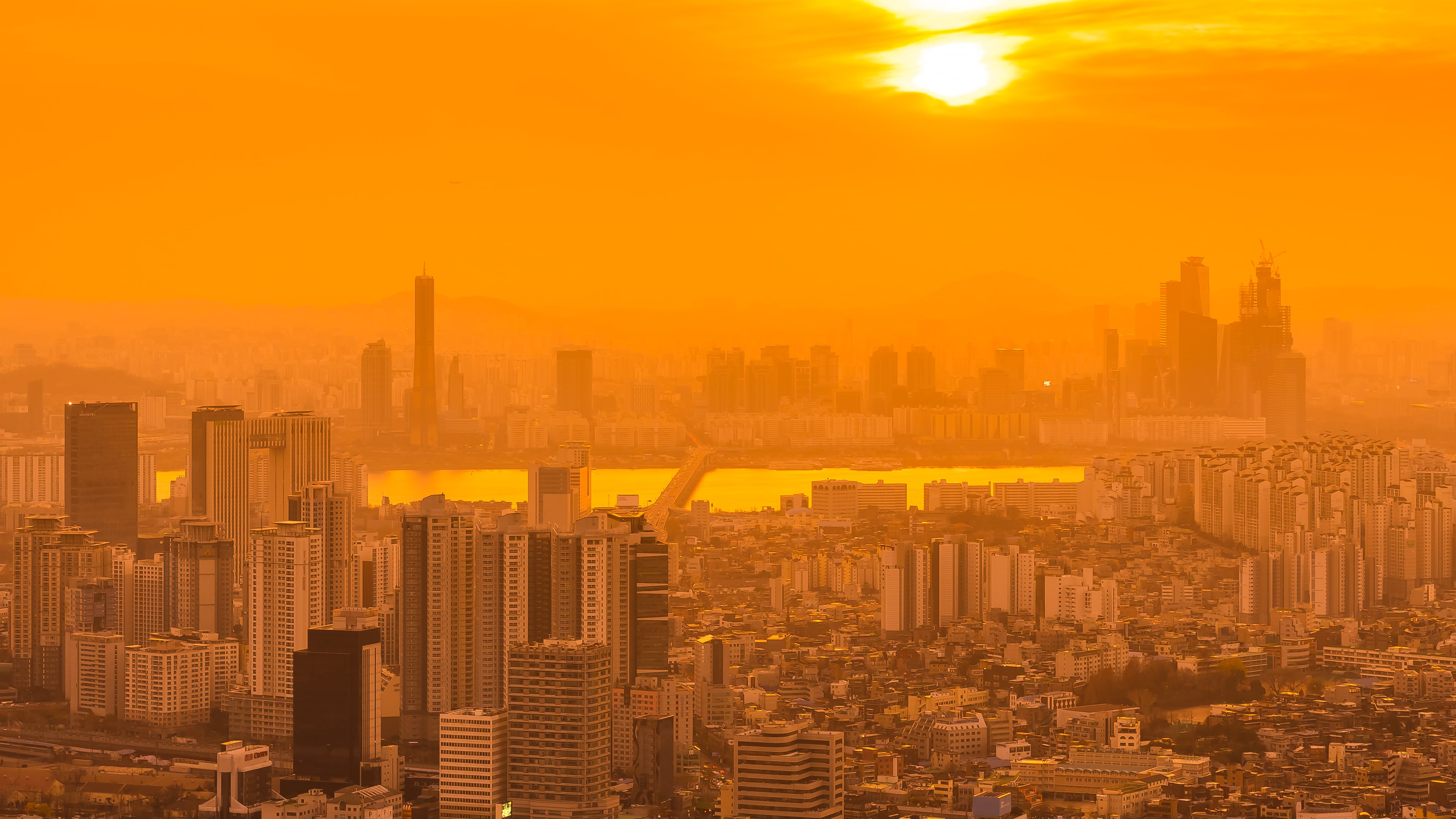 El impacto mortal del calor extremo: OMS reporta 540 mil muertes al año