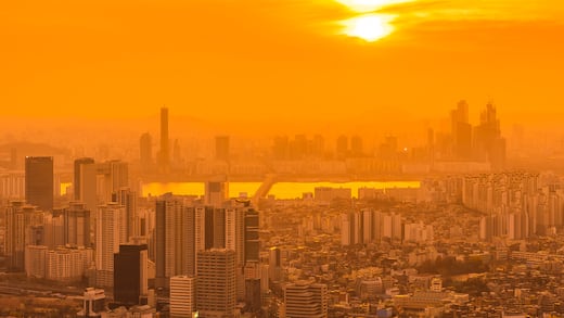 El impacto mortal del calor extremo: OMS reporta 540 mil muertes al año