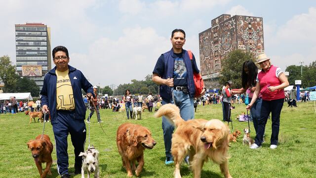 Los asistentes también podrán recibir orientación para entrenar a sus mascotas