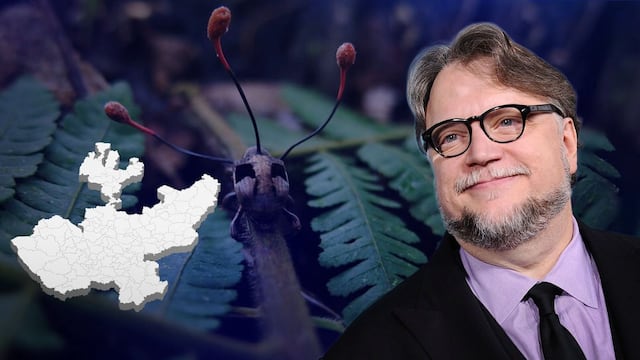 Descubren seis "hongos zombie" en Jalisco: uno lleva el nombre de Guillermo del Toro