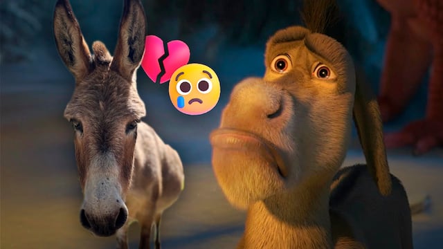 Murió Perry, el burro de la vida real que inspiró el personaje de Shrek