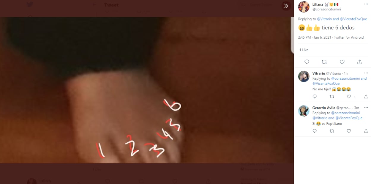 Usuarios dicen que Vicente Fox tiene 6 dedos en el pie.