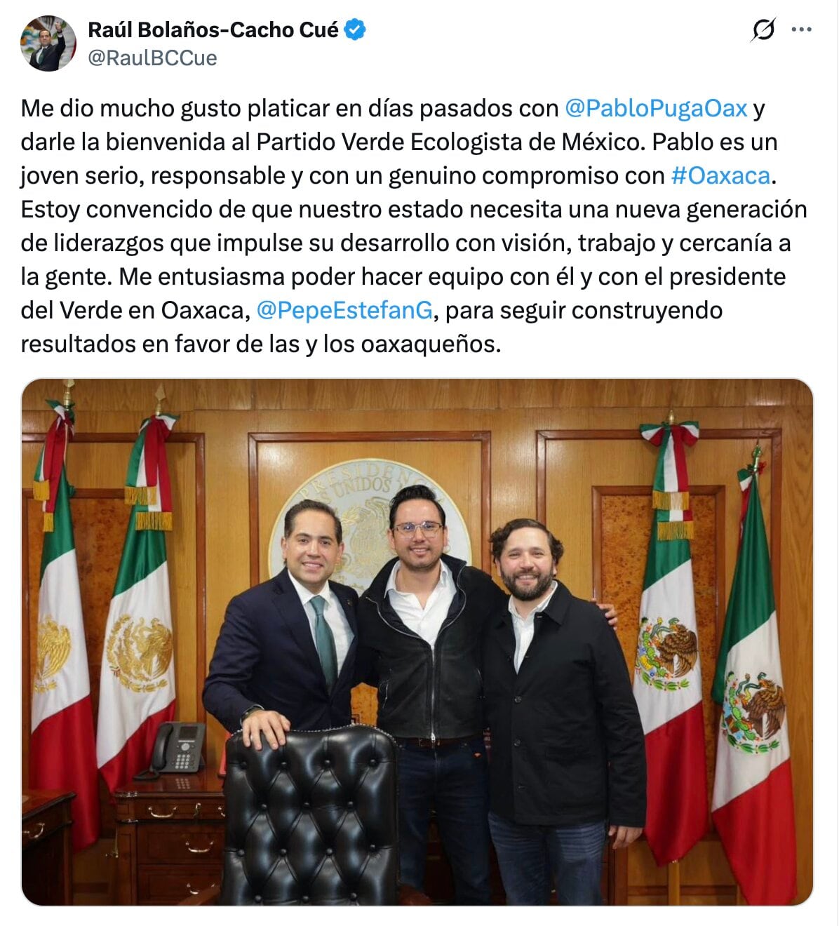 Pablo Puga se suma al Partido Verde