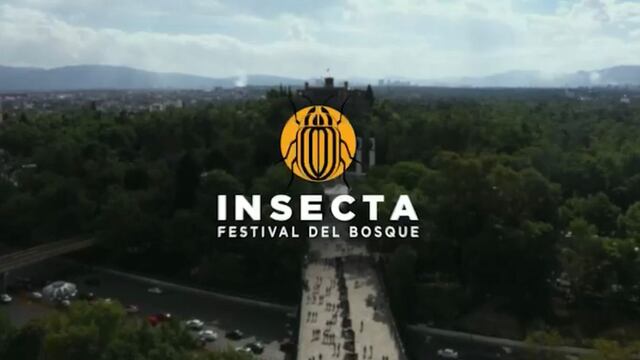 Insecta, Festival del Bosque 2022 se llevará a cabo en la CDMX