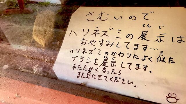 Cepillo remplaza a Erizo en Zoológico de Japón