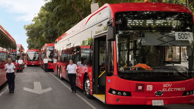 Autobuses eléctricos BYD