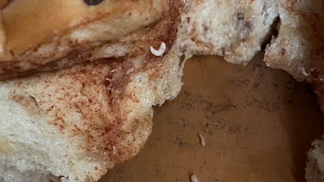 Gusanos en el pan de dulce