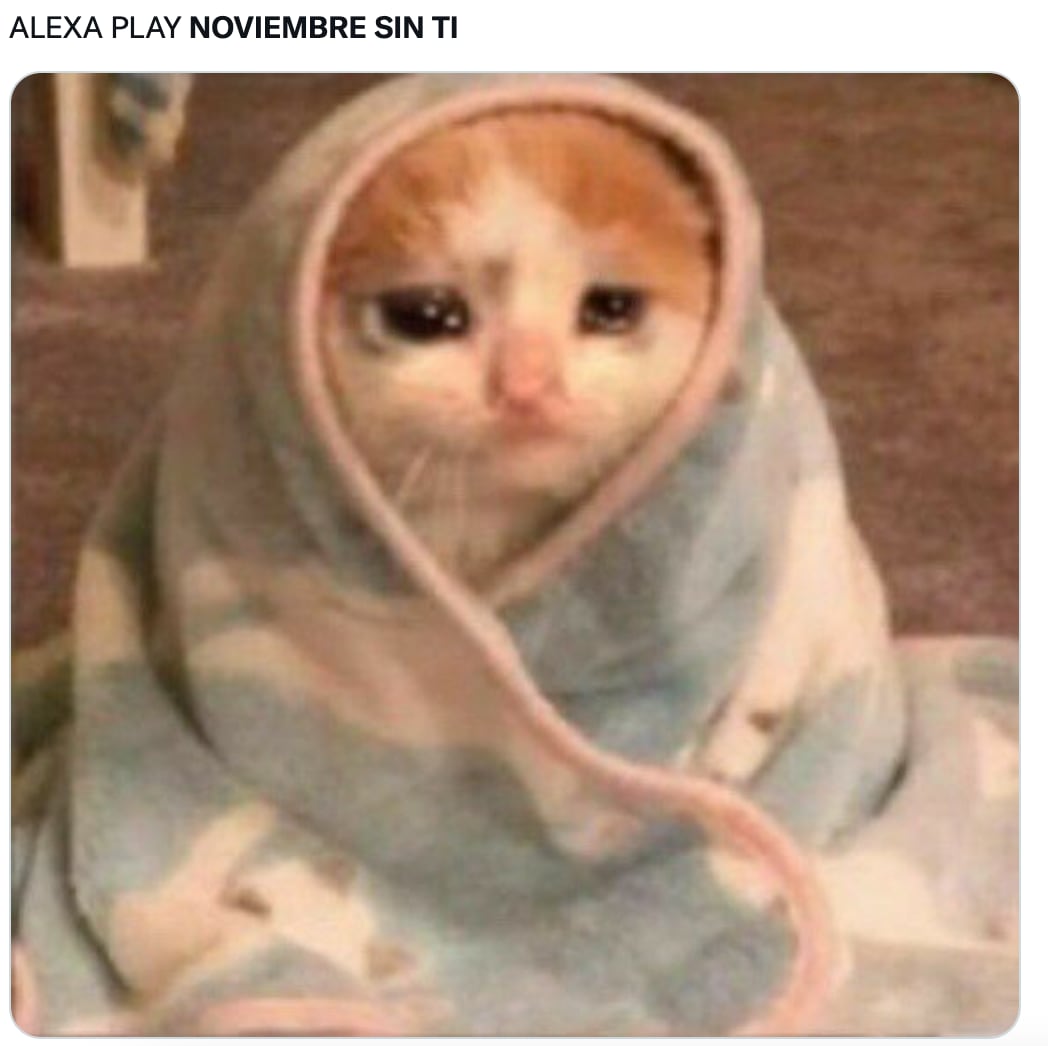 Memes de noviembre 2022