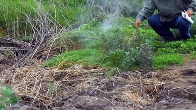 (Tlahuac Despierta) Incendio subterráneo llevaba 15 años