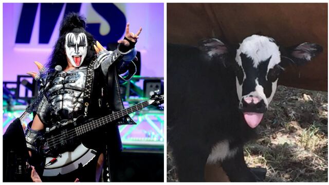 Gene Simmons / becerra Genie
