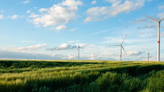 plan de sustentabilidad