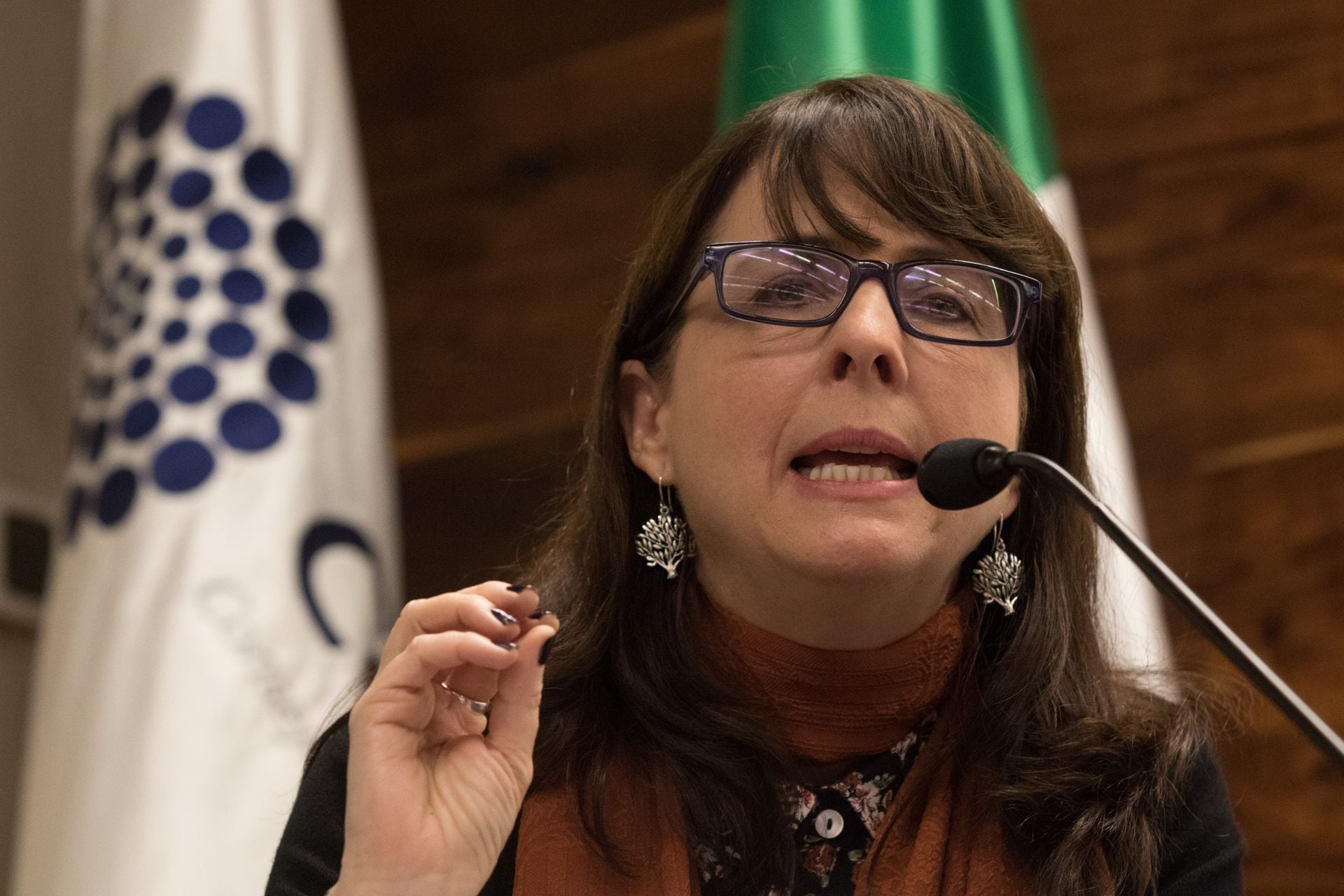 María Elena Álvarez-Buylla