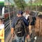 ¿Qué pasa en el Metrobús CDMX hoy lunes 29 de abril? Retrasos de más de 20 minutos en Línea 1 y Línea 7; reportan largas filas
