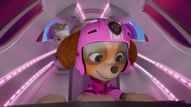 Skye de Paw Patrol