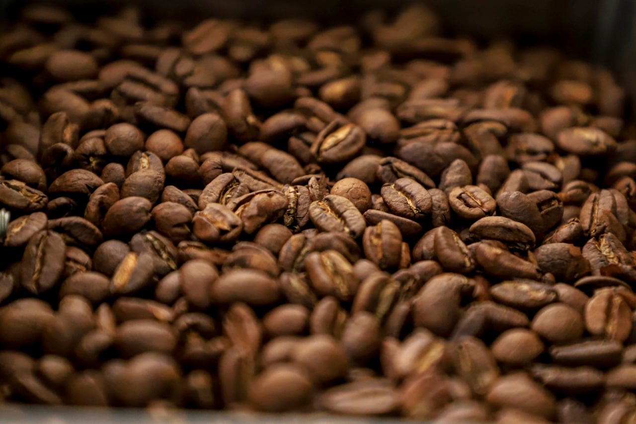 Muestra cultural "Puebla en Los Pinos"