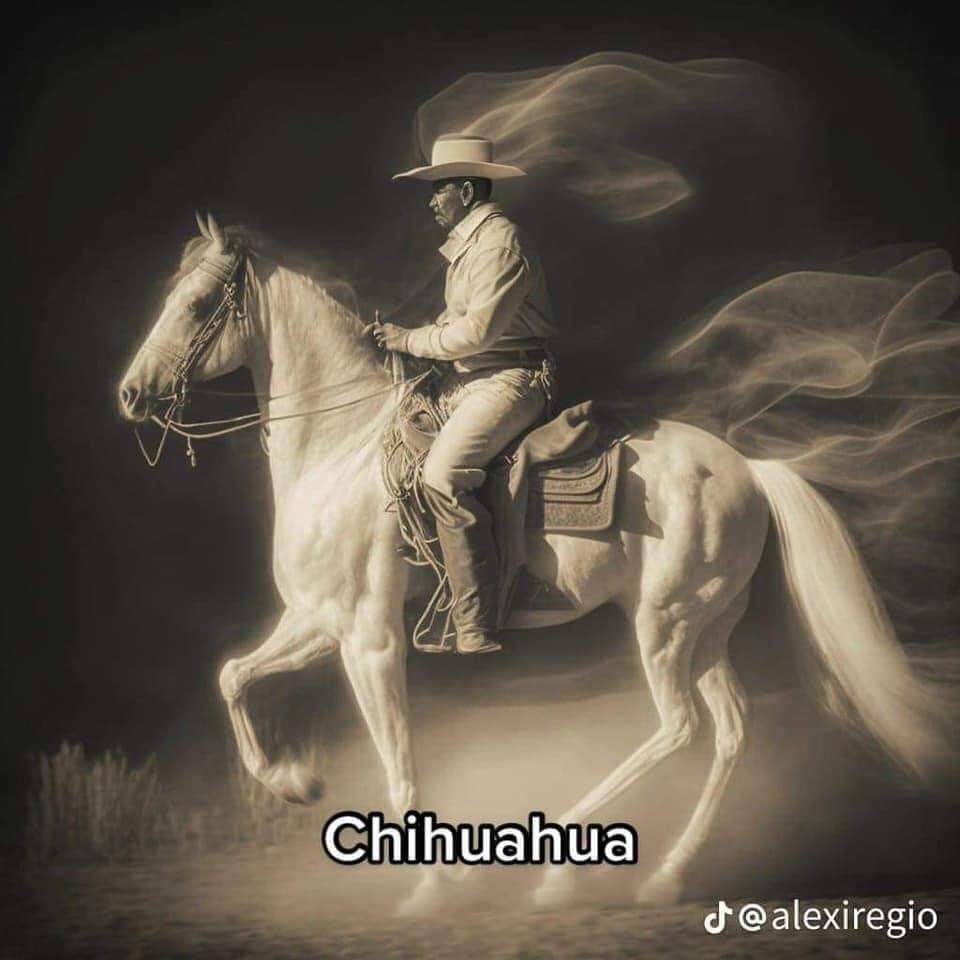 Espíritus Guardianes México