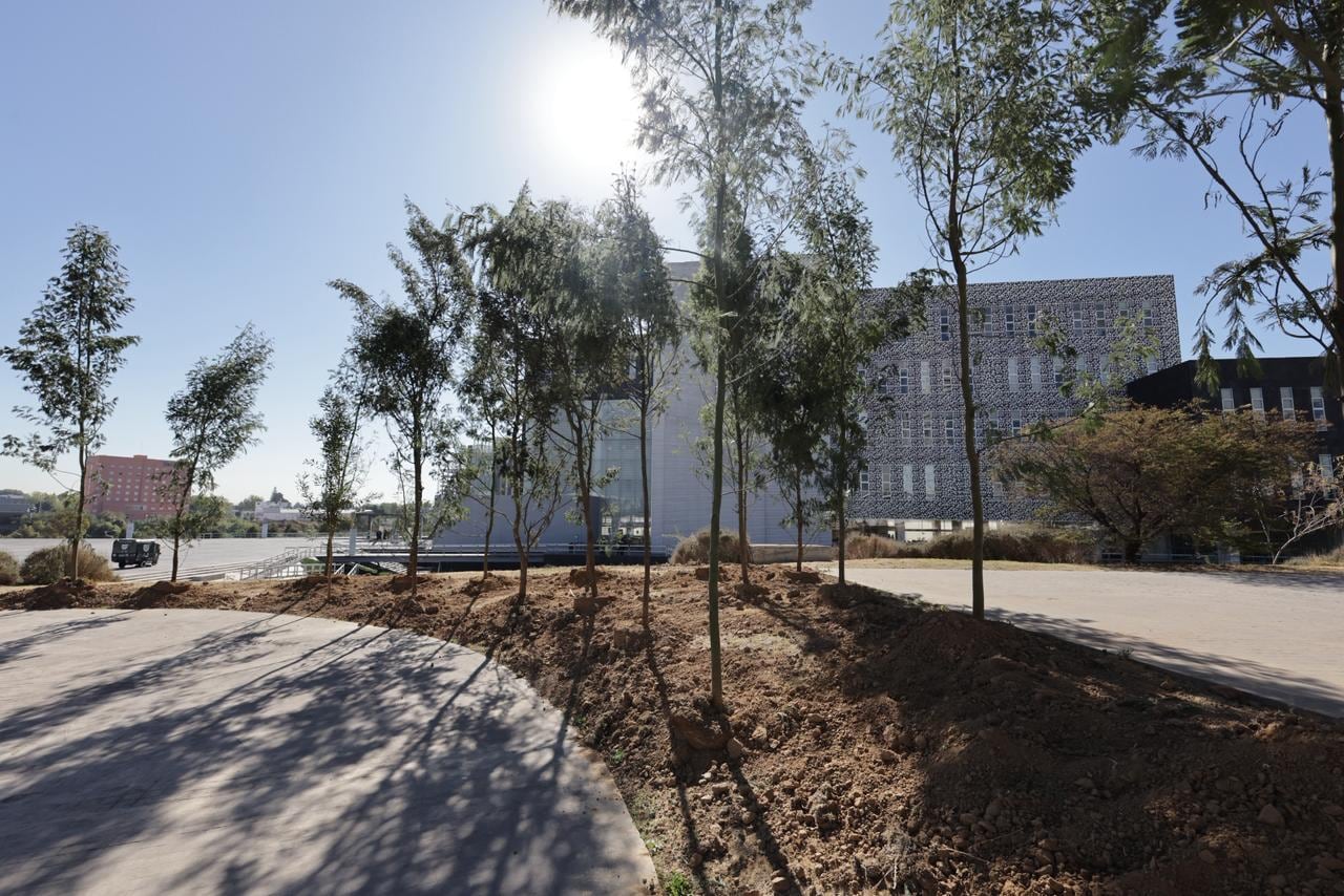 Alejandro Armenta impulsa reforestación histórica en la capital poblana