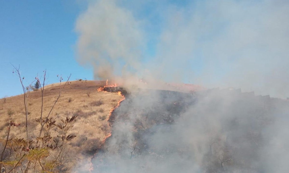 ¿Qué pasó en Monte Albán? Incendio afecta 30 hectáreas de la zona