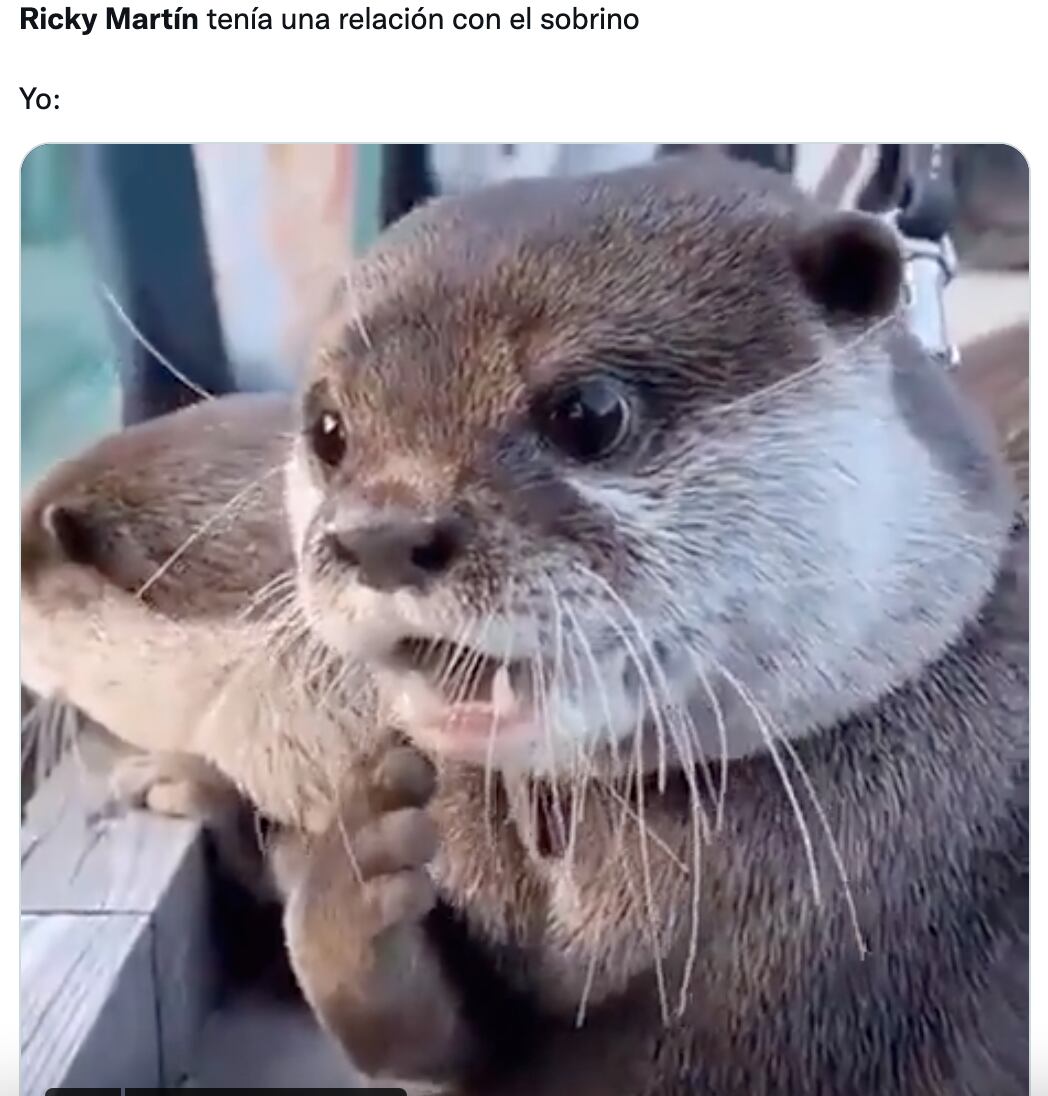 Memes de denuncia contra Ricky Martin